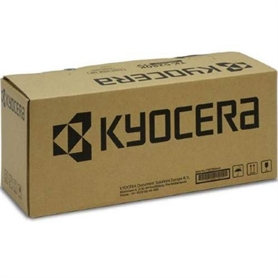 1T02YPBNL0 -  - 0632983064177