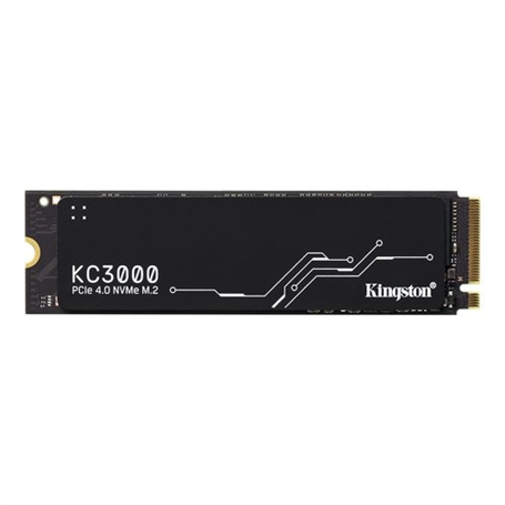 SKC3000S/1024G -  - 0740617324433