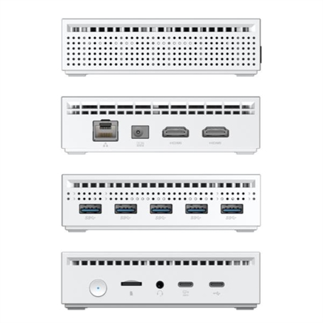 NY290 -  - 8056994442731