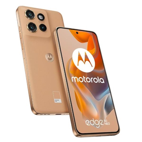 PB310049IT -  - 0840023278518