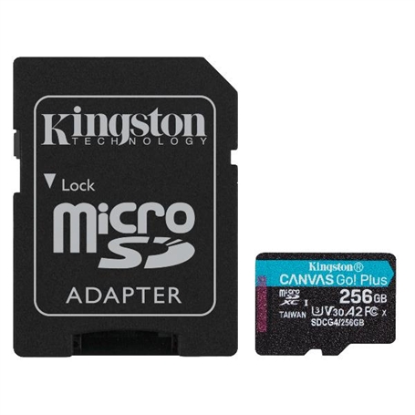 SDCG4/256GB -  - 0740617347999