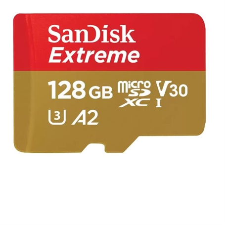 SDSQXAA-128G-GN6MA -  - 0619659188450