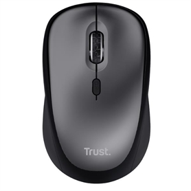 24549 -  - 8713439245493