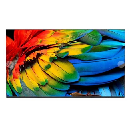 43HFL6214U/12 -  - 8718863030820