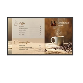 43BDL6017P -  - 8721038101188