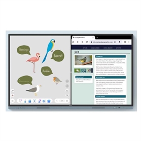 9H.F9ATK.DE1 -  - 4718755092480