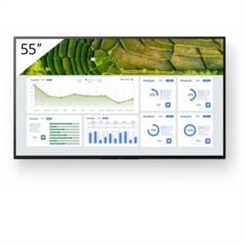 FW-55BZ30L -  - 4548736150065