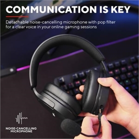 24901 -  - 8713439249019