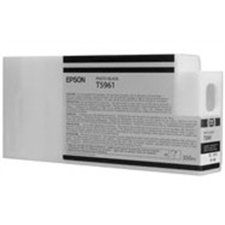 C13T596100 -  - 10343868397