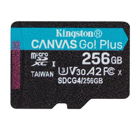 SDCG4/256GBSP -  - 0740617348026