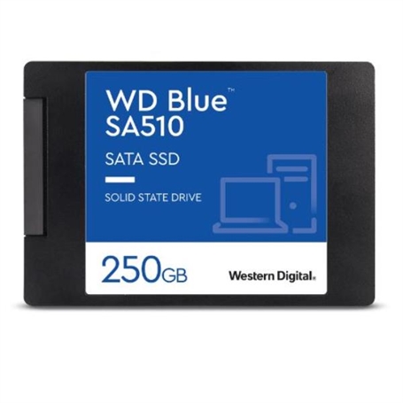 WDS250G3B0A -  - 0718037884622