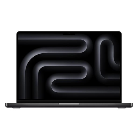Z1DS-W000166 - 
