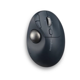 K72196WW - 