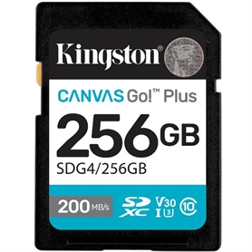 SDG4/256GB -  - 0740617347739