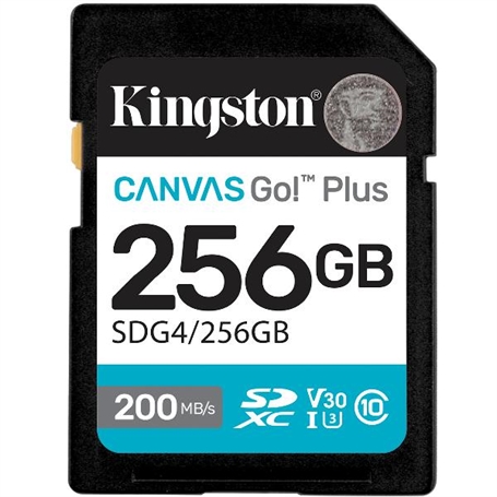 SDG4/256GB -  - 0740617347739