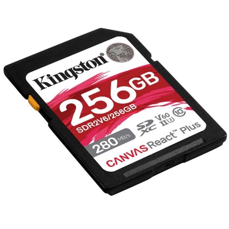 SDR2V6/256GB -  - 0740617340594