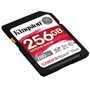 SDR2V6/256GB -  - 0740617340594