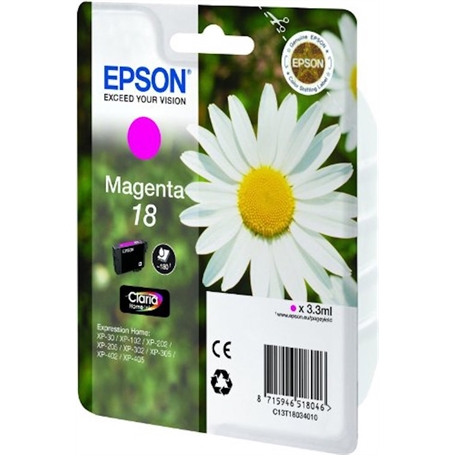 C13T18034012 - 1