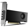 VCNRTX2000ADA-PL -  - 3536403400910