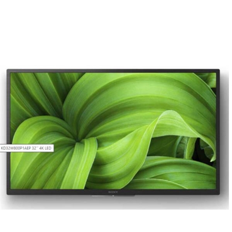 KD32W800P1AEP -  - 4548736153448
